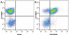 Anti Human CD3 Antibody, clone UCHT1 gallery image 260