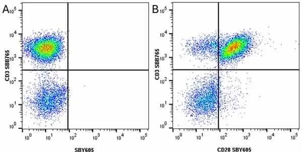 Anti Human CD3 Antibody, clone UCHT1 gallery image 260