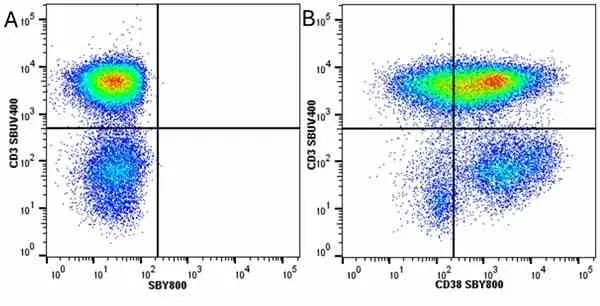 Anti Human CD3 Antibody, clone UCHT1 gallery image 274