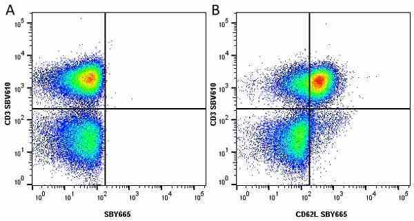 Anti Human CD3 Antibody, clone UCHT1 gallery image 275
