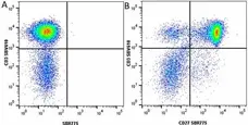 Anti Human CD3 Antibody, clone UCHT1 gallery image 278
