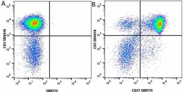 Anti Human CD3 Antibody, clone UCHT1 gallery image 278