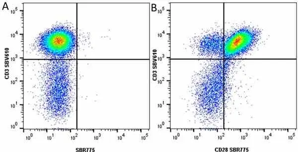 Anti Human CD3 Antibody, clone UCHT1 gallery image 279