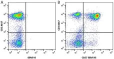Anti Human CD3 Antibody, clone UCHT1 gallery image 28