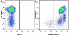 Anti Human CD3 Antibody, clone UCHT1 gallery image 282