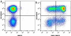 Anti Human CD3 Antibody, clone UCHT1 gallery image 283