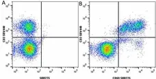 Anti Human CD3 Antibody, clone UCHT1 gallery image 285
