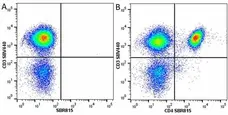 Anti Human CD3 Antibody, clone UCHT1 gallery image 286