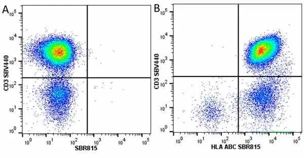Anti Human CD3 Antibody, clone UCHT1 gallery image 288