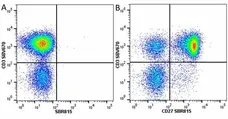 Anti Human CD3 Antibody, clone UCHT1 gallery image 289