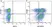 Anti Human CD3 Antibody, clone UCHT1 thumbnail image 29