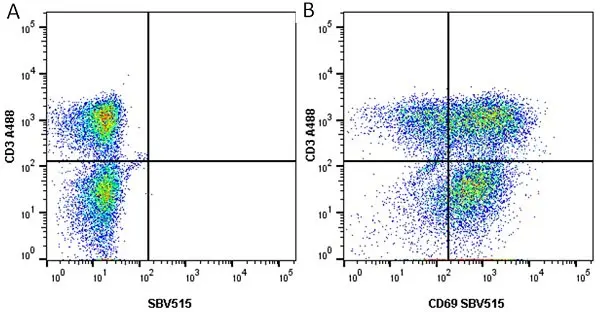 Anti Human CD3 Antibody, clone UCHT1 gallery image 29