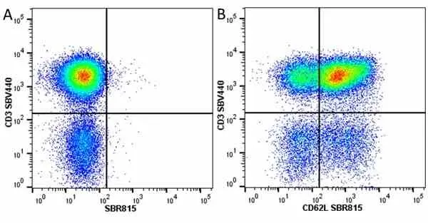 Anti Human CD3 Antibody, clone UCHT1 gallery image 292