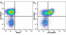 Anti Human CD3 Antibody, clone UCHT1 gallery image 295