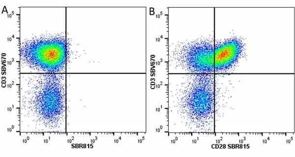 Anti Human CD3 Antibody, clone UCHT1 gallery image 295