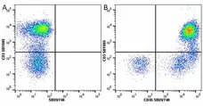 Anti Human CD3 Antibody, clone UCHT1 gallery image 300