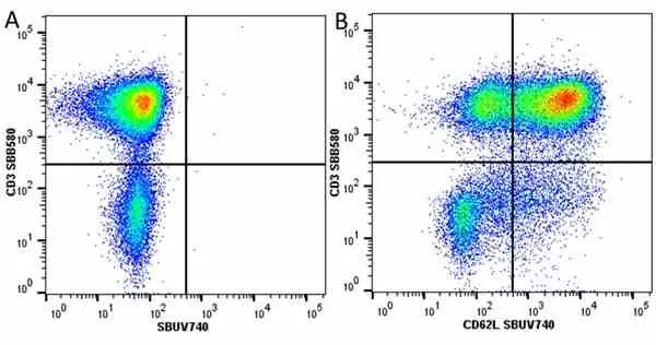 Anti Human CD3 Antibody, clone UCHT1 gallery image 305
