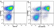 Anti Human CD3 Antibody, clone UCHT1 gallery image 306