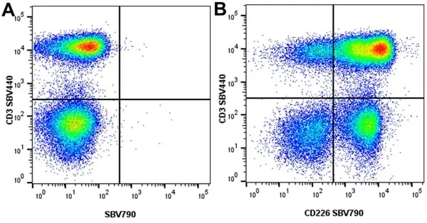 Anti Human CD3 Antibody, clone UCHT1 gallery image 308