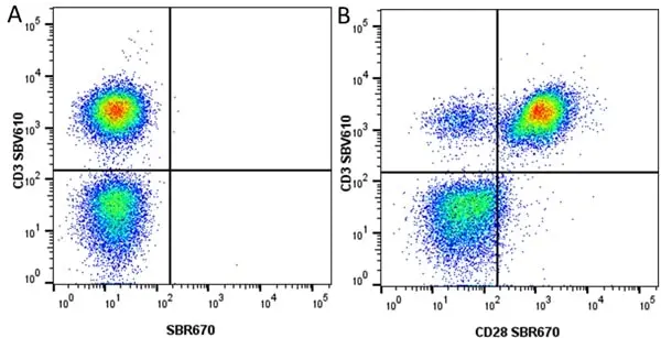 Anti Human CD3 Antibody, clone UCHT1 gallery image 322