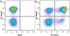 Anti Human CD3 Antibody, clone UCHT1 gallery image 326