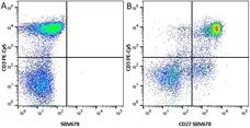 Anti Human CD3 Antibody, clone UCHT1 gallery image 33
