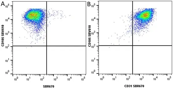 Anti Human CD3 Antibody, clone UCHT1 gallery image 332