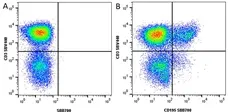Anti Human CD3 Antibody, clone UCHT1 gallery image 334