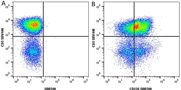 Anti Human CD3 Antibody, clone UCHT1 gallery image 335
