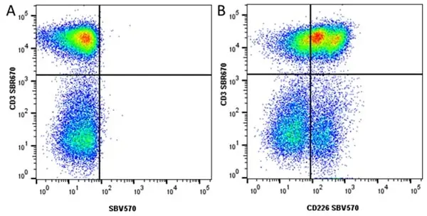 Anti Human CD3 Antibody, clone UCHT1 gallery image 337