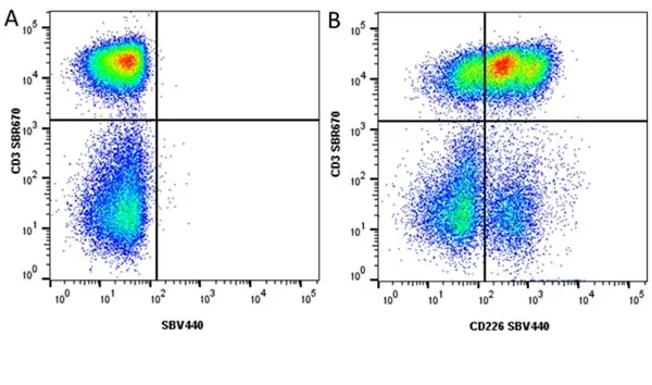 Anti Human CD3 Antibody, clone UCHT1 gallery image 339