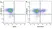 Anti Human CD3 Antibody, clone UCHT1 thumbnail image 342