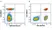 Anti Human CD3 Antibody, clone UCHT1 thumbnail image 343
