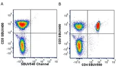 Anti Human CD3 Antibody, clone UCHT1 gallery image 344