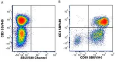 Anti Human CD3 Antibody, clone UCHT1 gallery image 347