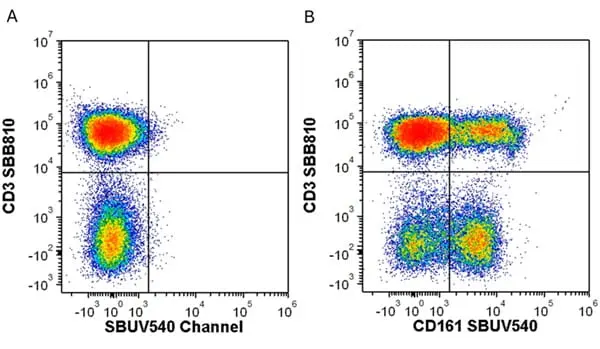 Anti Human CD3 Antibody, clone UCHT1 gallery image 348