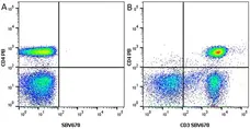 Anti Human CD3 Antibody, clone UCHT1 gallery image 35