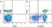 Anti Human CD3 Antibody, clone UCHT1 thumbnail image 35