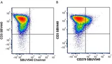 Anti Human CD3 Antibody, clone UCHT1 gallery image 351