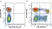 Anti Human CD3 Antibody, clone UCHT1 thumbnail image 354