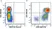 Anti Human CD3 Antibody, clone UCHT1 thumbnail image 356