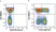 Anti Human CD3 Antibody, clone UCHT1 thumbnail image 358