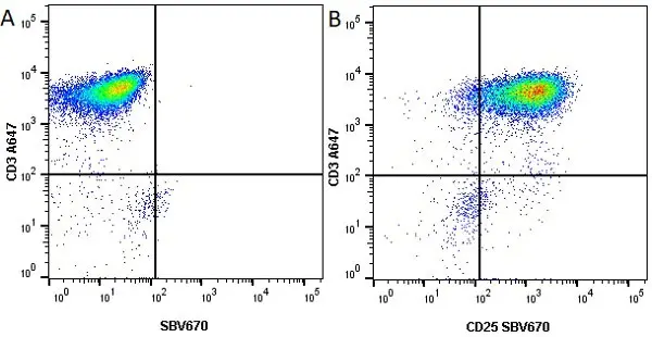 Anti Human CD3 Antibody, clone UCHT1 gallery image 36