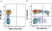 Anti Human CD3 Antibody, clone UCHT1 thumbnail image 363