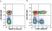 Anti Human CD3 Antibody, clone UCHT1 thumbnail image 366