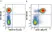 Anti Human CD3 Antibody, clone UCHT1 thumbnail image 367