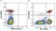 Anti Human CD3 Antibody, clone UCHT1 thumbnail image 370