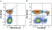 Anti Human CD3 Antibody, clone UCHT1 thumbnail image 372