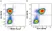 Anti Human CD3 Antibody, clone UCHT1 thumbnail image 377