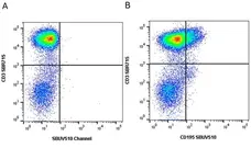 Anti Human CD3 Antibody, clone UCHT1 gallery image 381